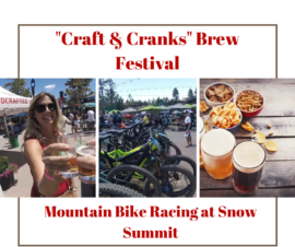 Crafts and Cranks Festival in Big Bear Lake