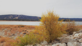 Autumn in Big Bear Lake